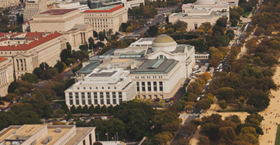 The National Museum of Natural History