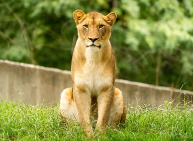 Smithsonian National Zoological Park