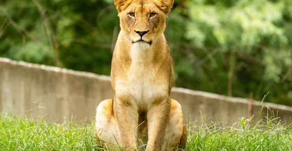 Smithsonian National Zoological Park